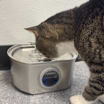 Thumbnail photo of Captain #4