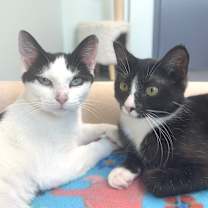 Thumbnail photo of Mootilda #3