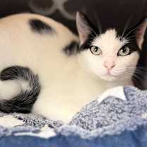 Thumbnail photo of Mootilda #4