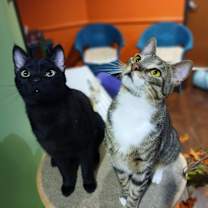 Thumbnail photo of Kipper #3