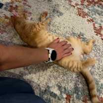 Thumbnail photo of Audley Freed    (SUPER FRIENDL #4