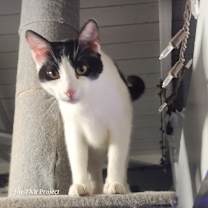 Thumbnail photo of Miracle #4