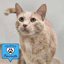 Thumbnail photo of Puddin #1