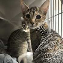 Thumbnail photo of Jelly Bean #2