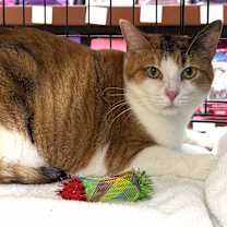 Thumbnail photo of Mia #1