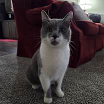 Thumbnail photo of Jasper #2