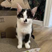 Thumbnail photo of Dylan #2