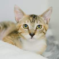 Thumbnail photo of Nami #1