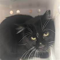 Thumbnail photo of Brighton #1