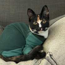 Thumbnail photo of Nescafe #1