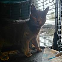 Thumbnail photo of Captain Jack Sparrow #1