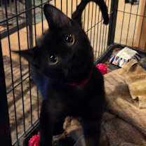 Thumbnail photo of Wifi #2