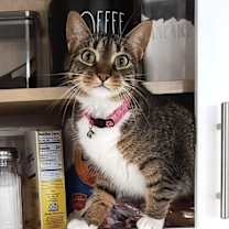 Thumbnail photo of Harley and Chloe #2