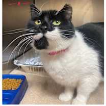 Thumbnail photo of Noelle (clinic 1) #1