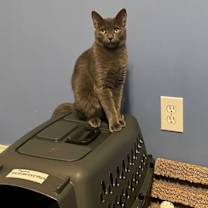 Thumbnail photo of Nessa #2