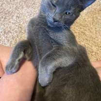 Thumbnail photo of Nessa #4