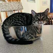 Thumbnail photo of Madrid #1