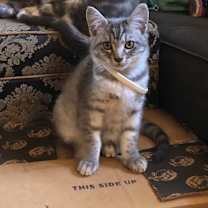 Thumbnail photo of Betty #2