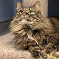 Thumbnail photo of Dotti #1