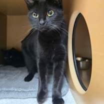 Thumbnail photo of Bitsey #2