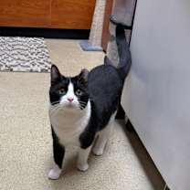 Thumbnail photo of Chloe #2