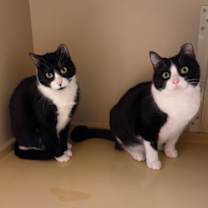 Thumbnail photo of Zoe #3