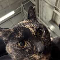 Thumbnail photo of Monica #1