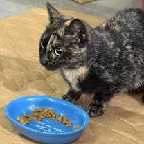 Thumbnail photo of Monica #3