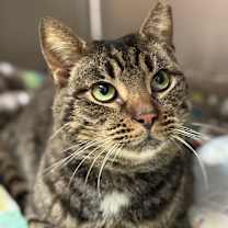 Thumbnail photo of Donovan #4