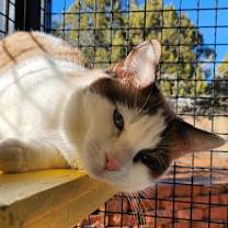 Thumbnail photo of Elena #1