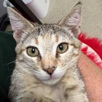 Thumbnail photo of Jane 4903 #2