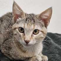 Thumbnail photo of Jane 4903 #3