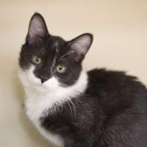 Thumbnail photo of Caroline #3