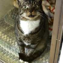 Thumbnail photo of George #1