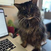 Thumbnail photo of Juliette #1