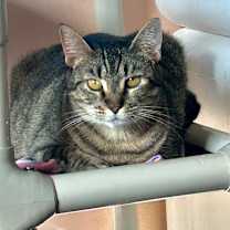 Thumbnail photo of Layla #1