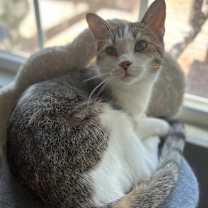 Thumbnail photo of Nirvana #2