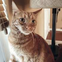 Thumbnail photo of Benjamin #1