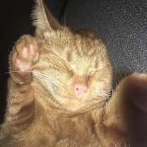 Thumbnail photo of Benjamin #3