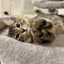 Thumbnail photo of Ester #1