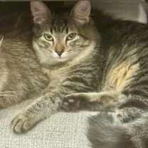 Thumbnail photo of Ester #2