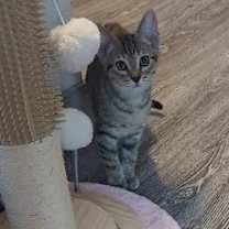 Thumbnail photo of Hallow 25 #2