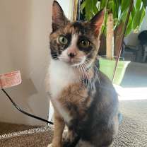 Thumbnail photo of Winnie #1