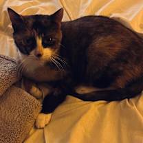 Thumbnail photo of Winnie #3