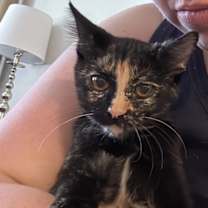 Thumbnail photo of Munchkin #2