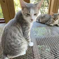 Thumbnail photo of Scoundral #3