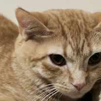 Thumbnail photo of Sandy #1