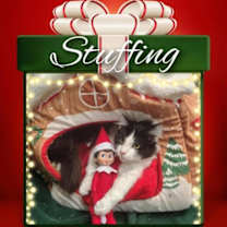 Thumbnail photo of Stuffing #1