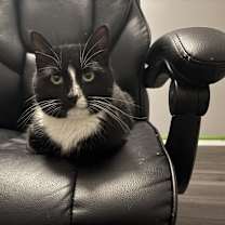 Thumbnail photo of Big Man #1