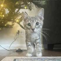 Thumbnail photo of Carter #2